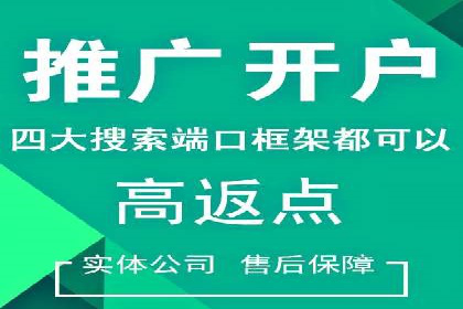 百度竞价广告成功案例集锦：如何玩转搜索引擎营销
